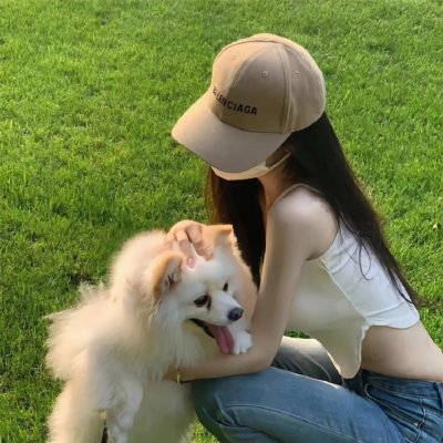 金雉鸡
